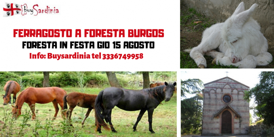 Ferragosto a foresta burgos: gio 15 ago